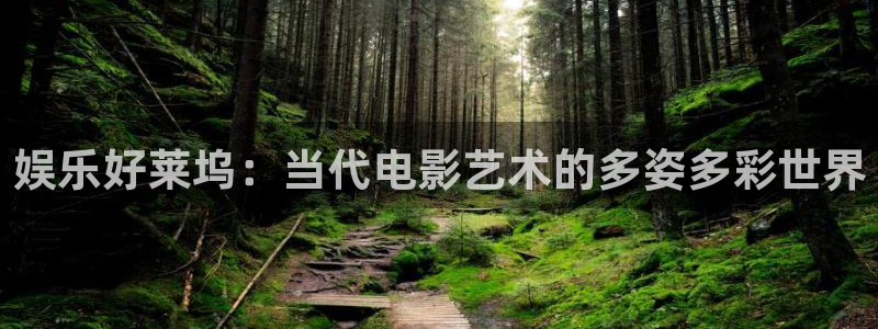 万向娱乐：娱乐好莱坞：当代电影艺术的多姿多彩世界