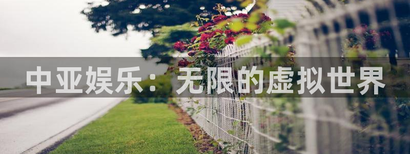 万向娱乐注册登录：中亚娱乐：无限的虚拟世界