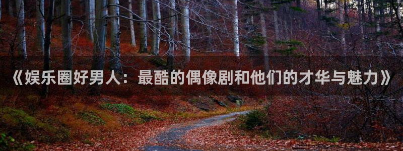 万向娱乐：《娱乐圈好男人：最酷的偶像剧和他们的才华与魅力》