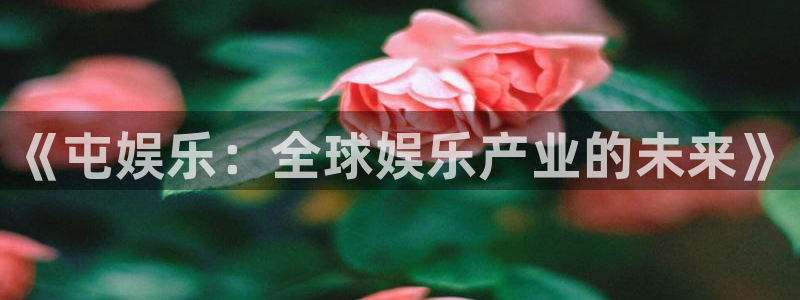 万向娱乐app：《屯娱乐：全球娱乐产业的未来》