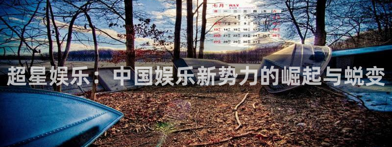 万向娱乐：超星娱乐：中国娱乐新势力的崛起与蜕变