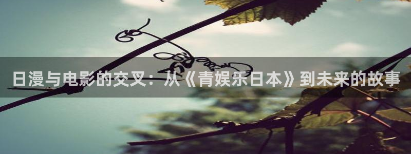 万向娱乐：日漫与电影的交叉：从《青娱乐日本》到未来的故事
