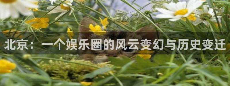 万向娱乐注册登录：北京：一个娱乐圈的风云变幻与历史变迁