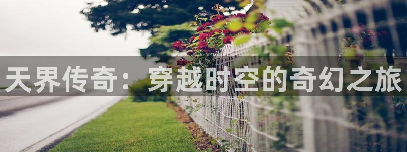 万向娱乐：天界传奇：穿越时空的奇幻之旅