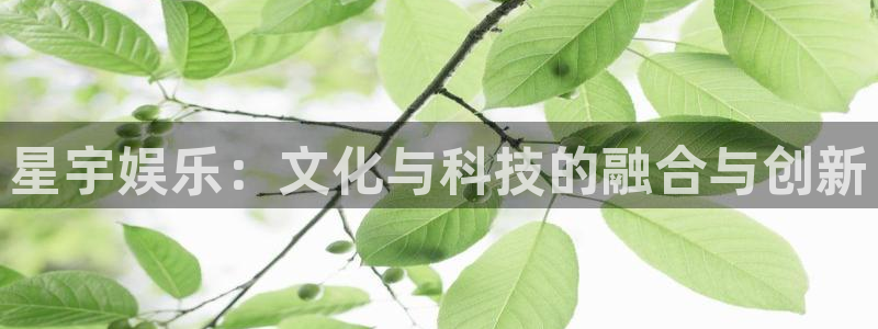 万向娱乐注册登录：星宇娱乐：文化与科技的融合与创新