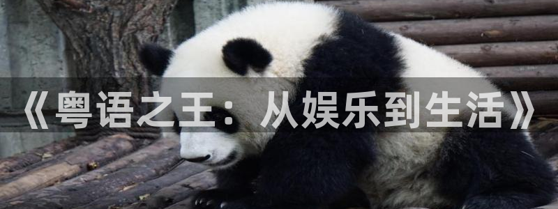 万向娱乐注册：《粤语之王：从娱乐到生活》